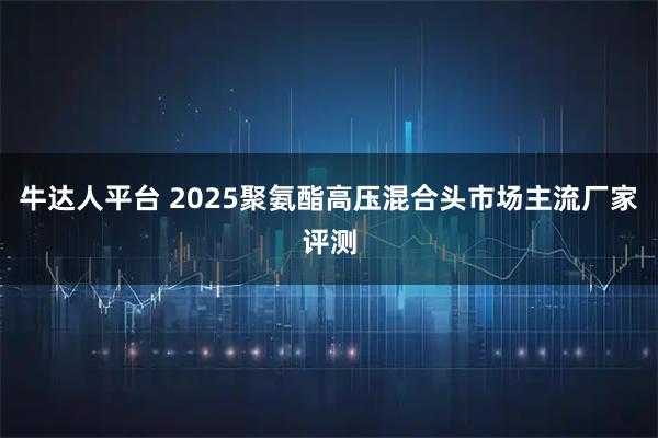 牛达人平台 2025聚氨酯高压混合头市场主流厂家评测