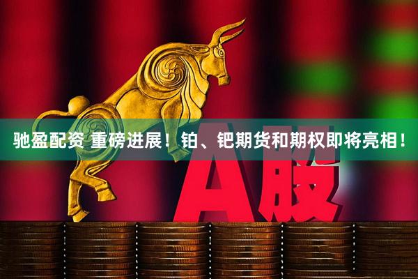 驰盈配资 重磅进展！铂、钯期货和期权即将亮相！
