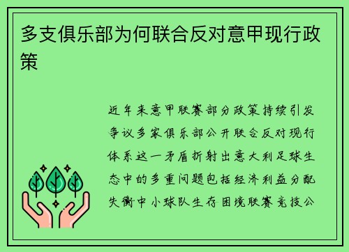 多支俱乐部为何联合反对意甲现行政策
